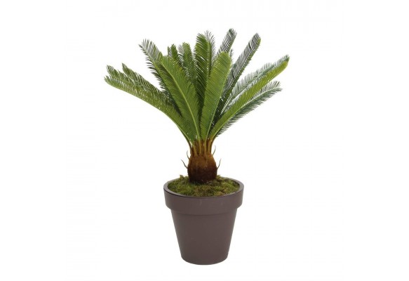 YAPAY CYCAS AĞACI 80 CM